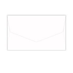 Envelopes Only - 4.5 x 8.5