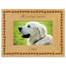 Dogs Tale Picture Frame